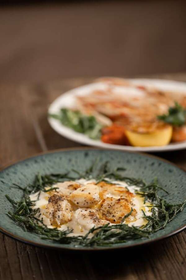 Chicken & Mushroom Omelette